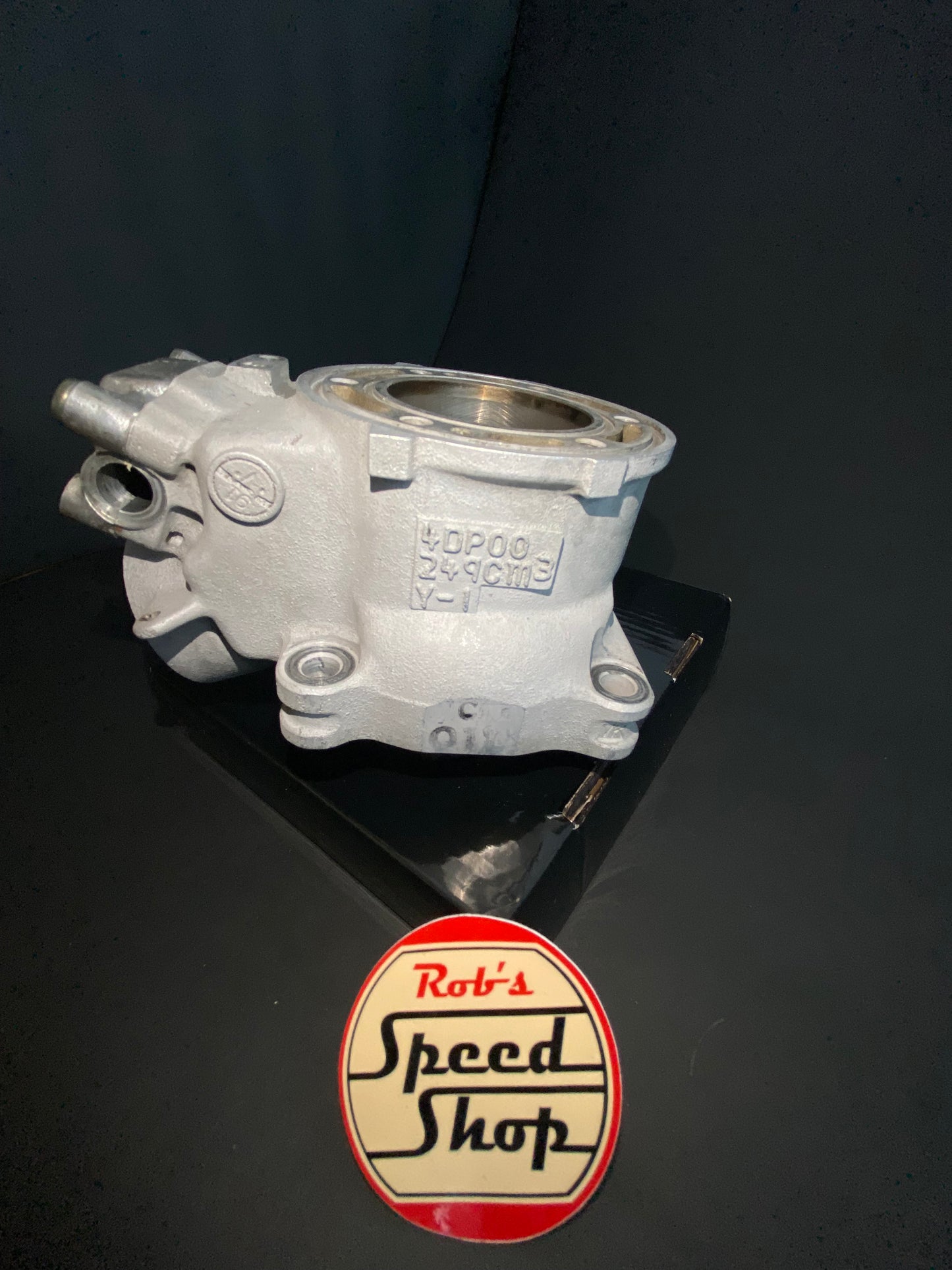 TZ250 4DP-00 cylinders.