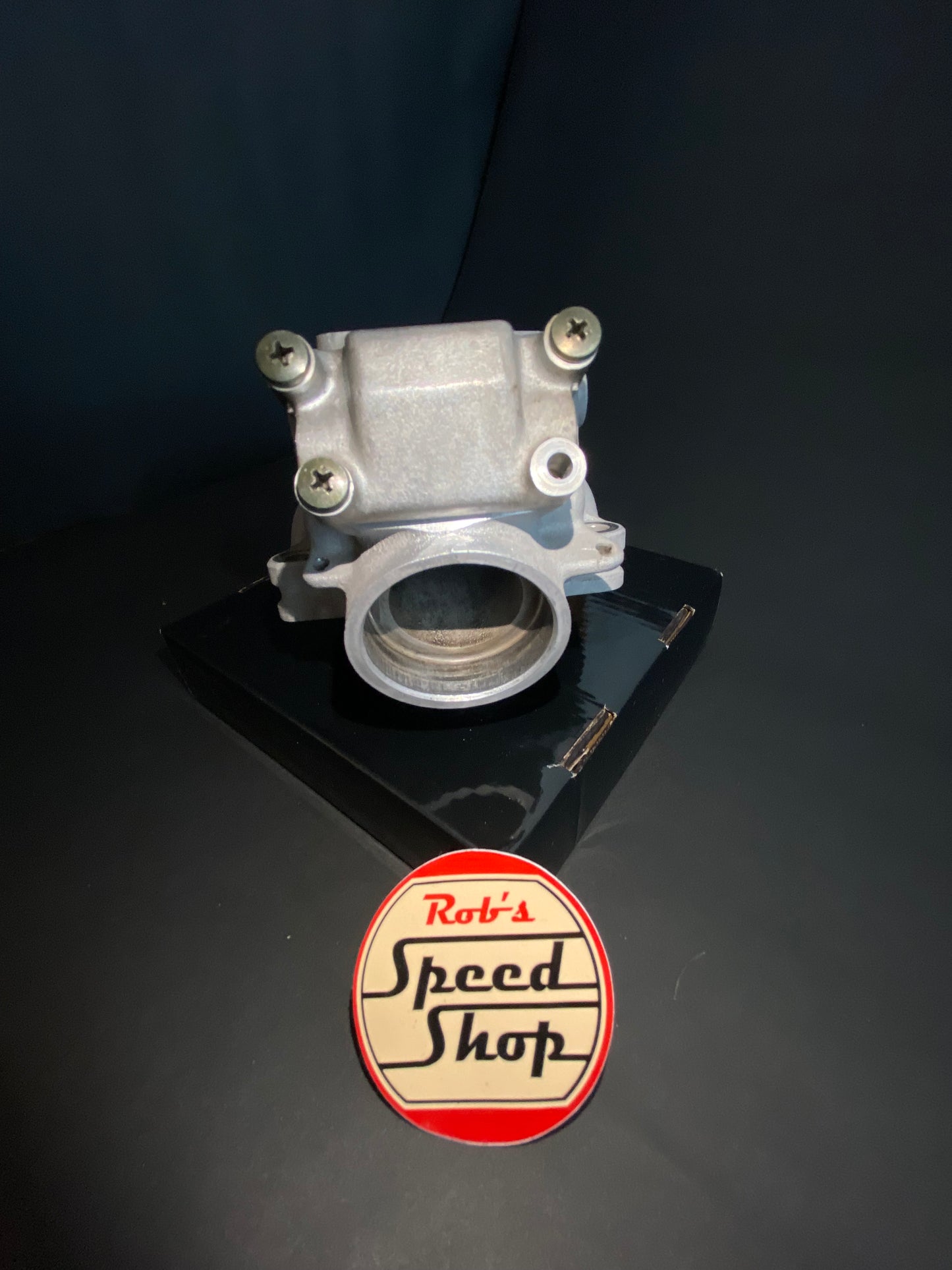 TZ250 4DP-00 cylinders.