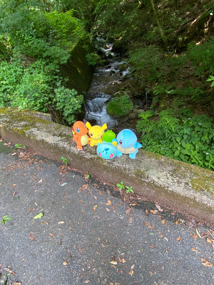 Mystery Box