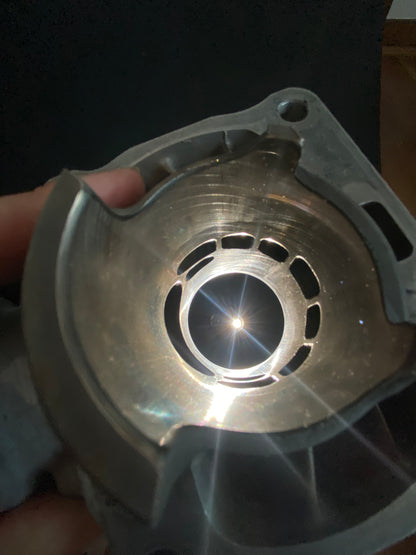 TZ250 4DP-00 cylinders.