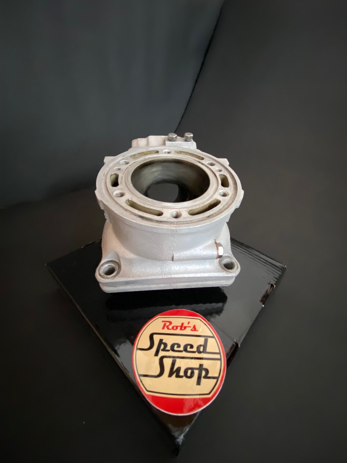 TZ250 4DP-00 cylinders.