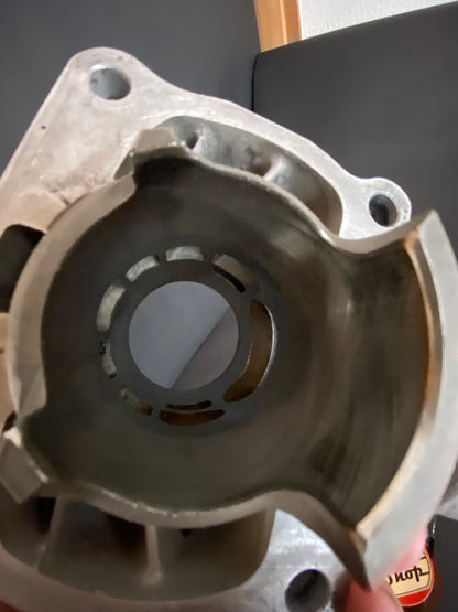 TZ250 4DP-00 cylinders.