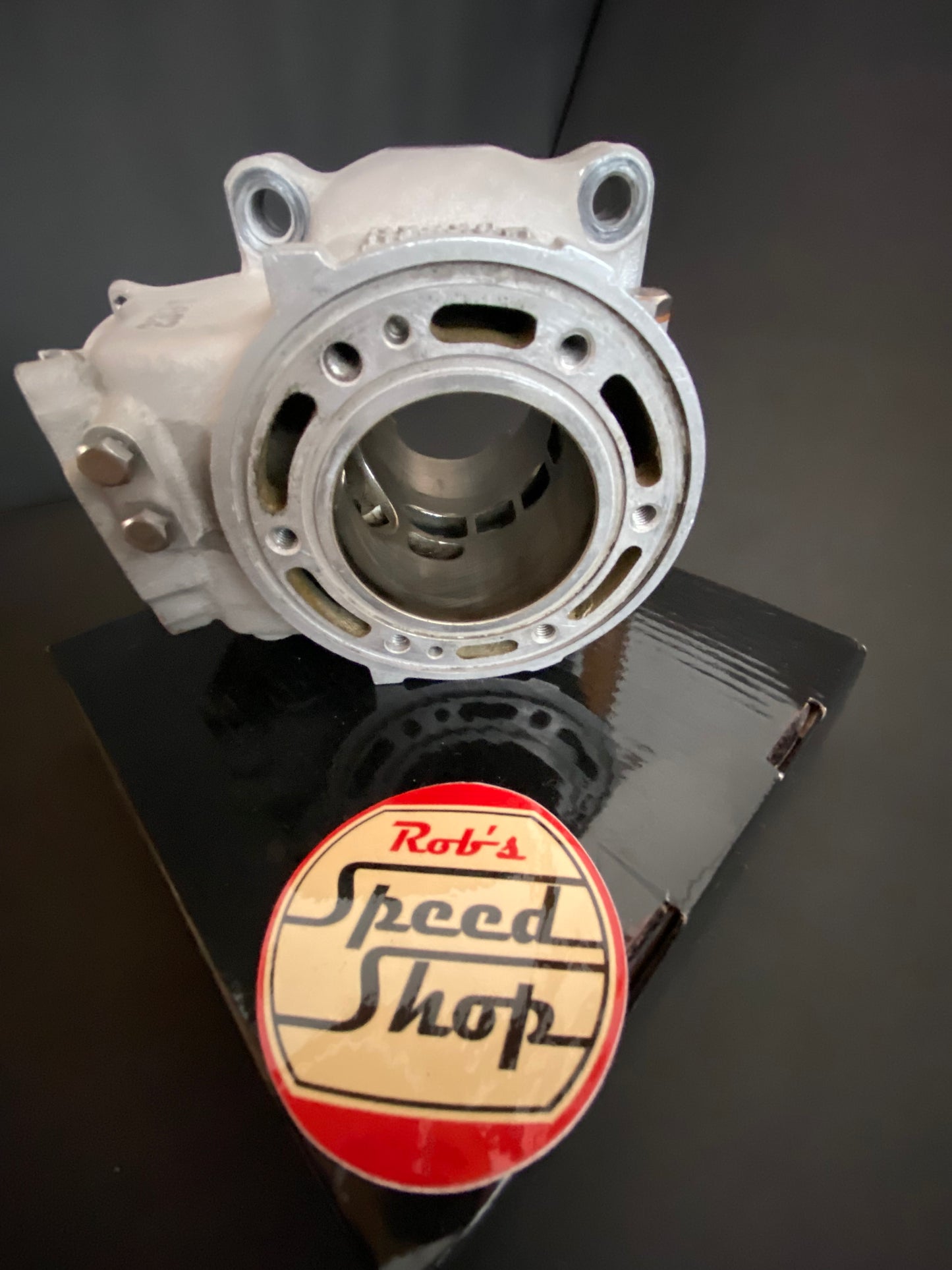 TZ250 4DP-00 cylinders.
